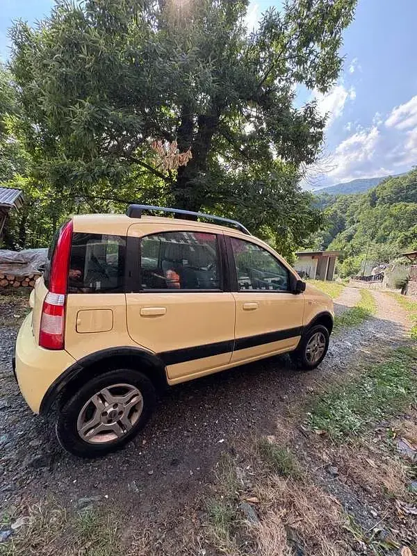 Usata Fiat Panda 4x4 69 CV (50 kW) 2007 Utilitaria