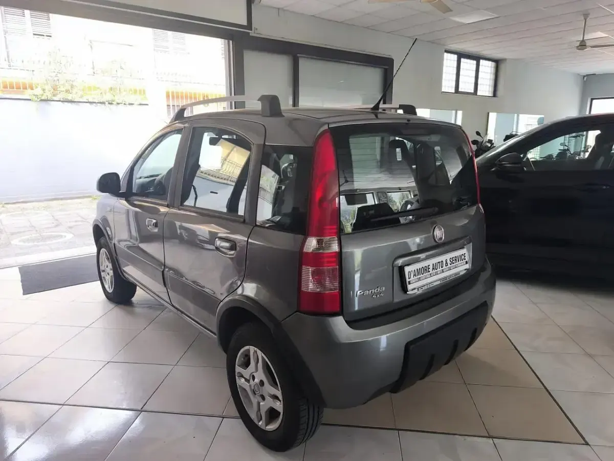 Usata Fiat Panda 4x4 Climbing 75 CV (55 kW) 2011 Grigio Utilitaria