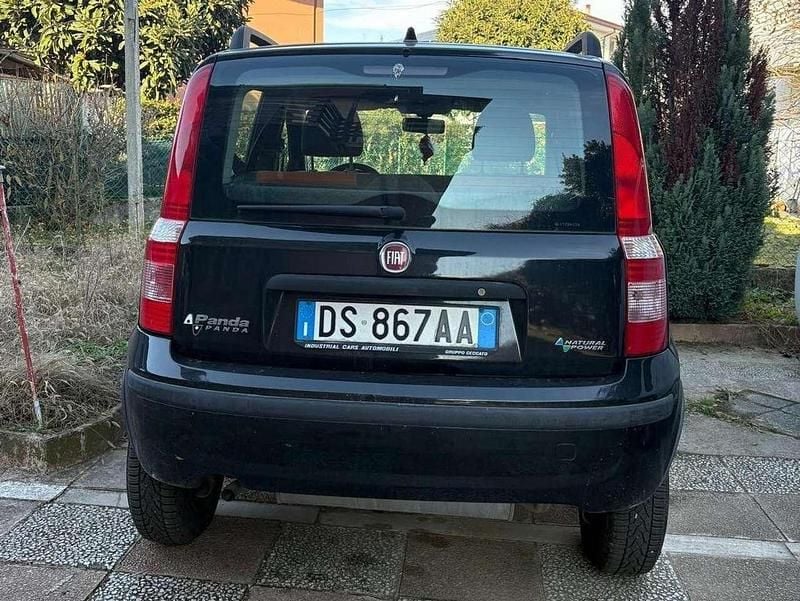 Usata Fiat Panda Dynamic 60 CV (44 kW) 2008 Nero Utilitaria