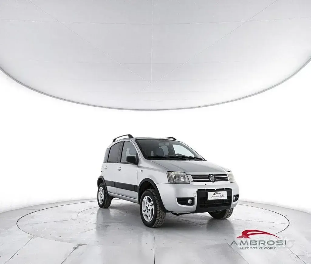 Usata Fiat Panda 4x4 Cross 69 CV (50 kW) 2007 Grigio Utilitaria