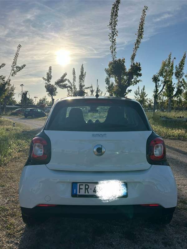 Usata Smart ForFour 71 CV (52 kW) 2018 Bianco Utilitaria