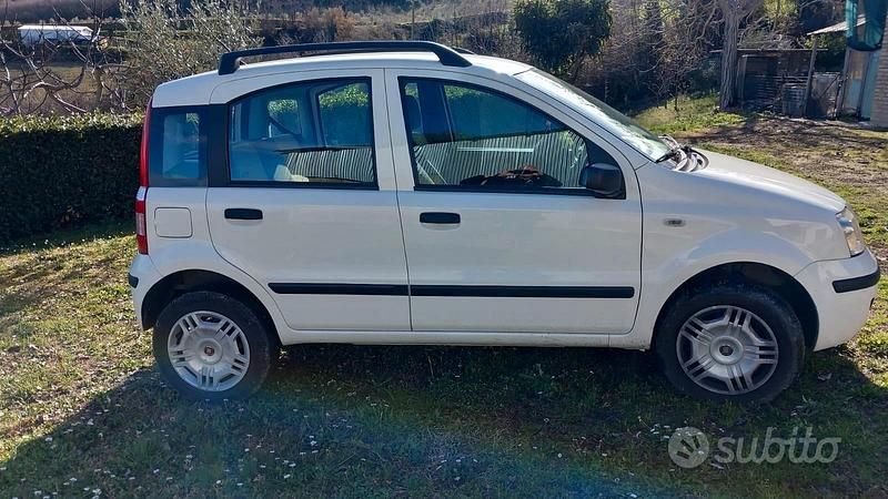 Usata Fiat Panda 2008 Bianco Berlina