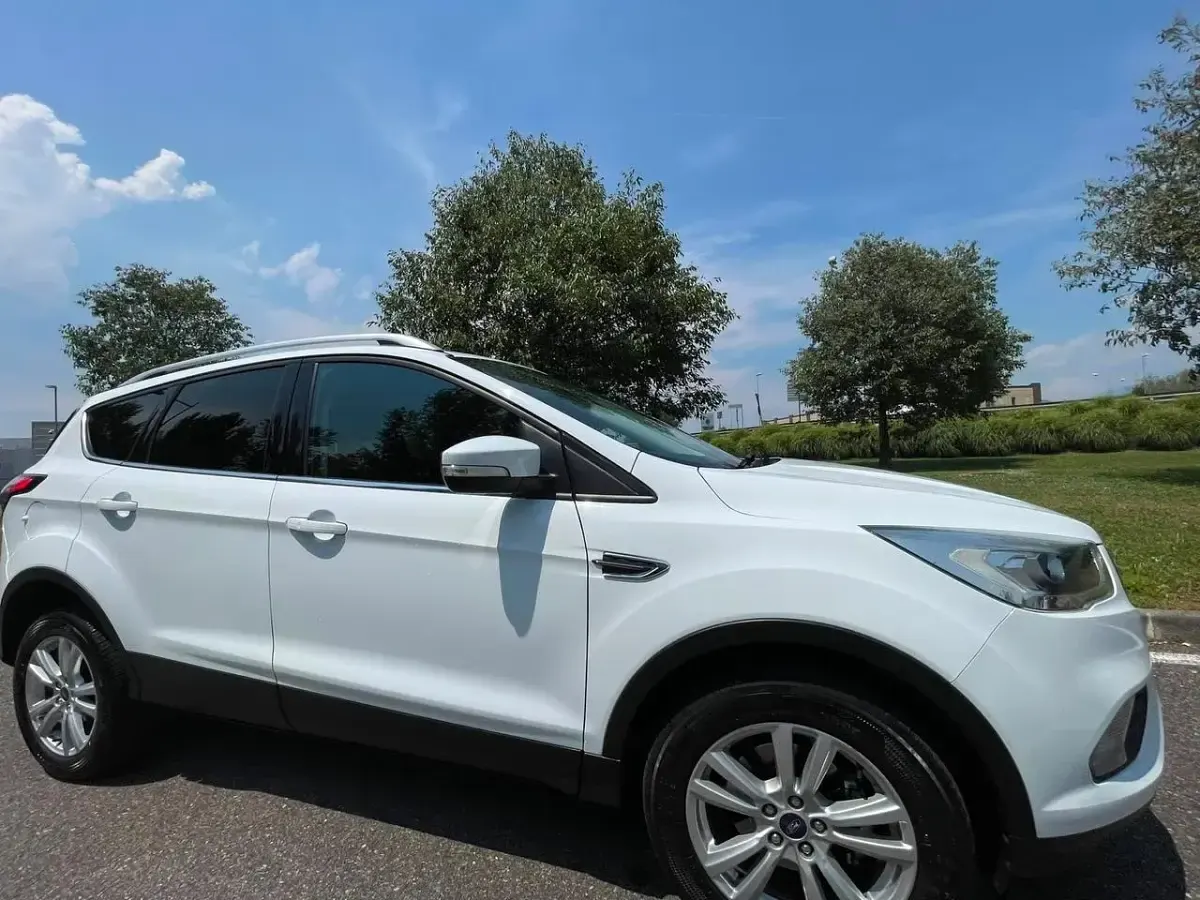 Usata Ford Kuga ST-Line 119 CV (87 kW) 2019 Bianco SUV