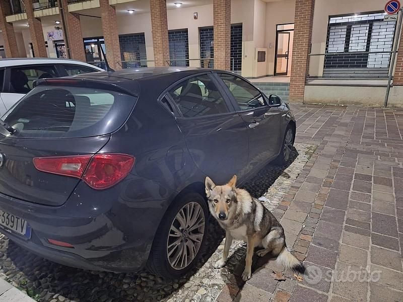 Usata Alfa Romeo Giulietta Super 2017 Nero Berlina