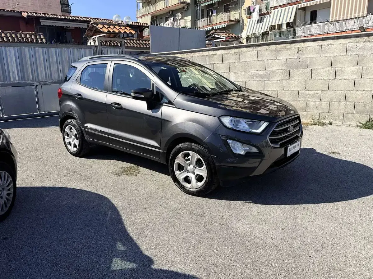 Usata Ford Ecosport Business Edition 99 CV (72 kW) 2019 Grigio SUV