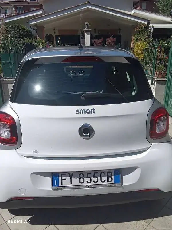 Usata Smart ForFour Prime 71 CV (52 kW) 2019 Bianco Utilitaria