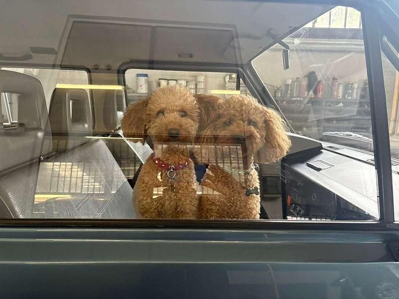 Usata VW Caravelle 95 CV (69 kW) 1989 Blu/azzurro Furgone