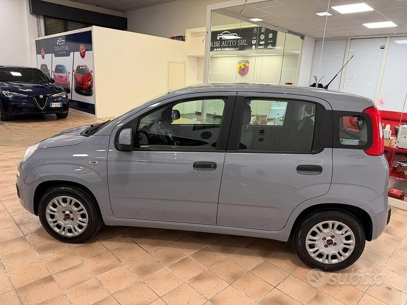 Usata Fiat Panda Lounge 69 CV (50 kW) 2018 Grigio Utilitaria
