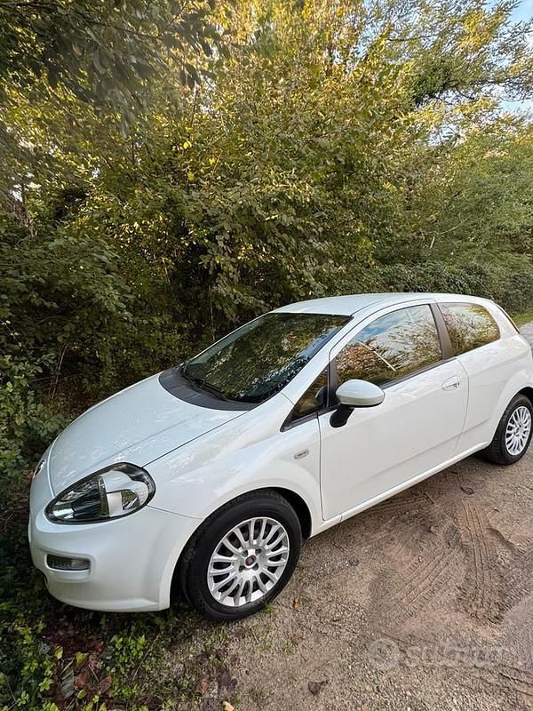 Usata Fiat Punto 69 CV (50 kW) 2014 Bianco Utilitaria