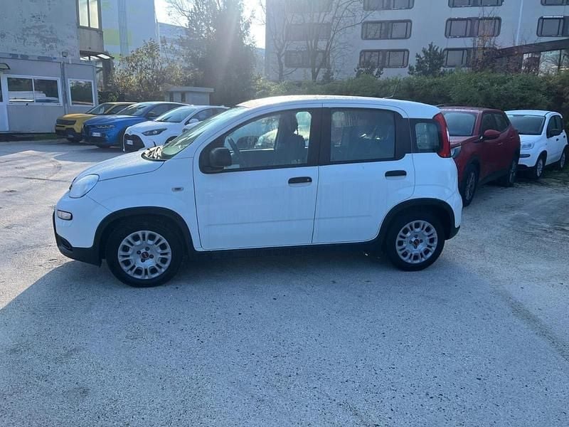 Usata Fiat Panda S 69 CV (50 kW) 2023 Bianco Utilitaria