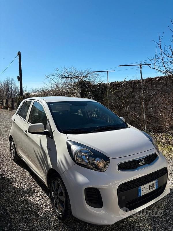 Usata Kia Picanto Active 67 CV (49 kW) 2016 Bianco Utilitaria