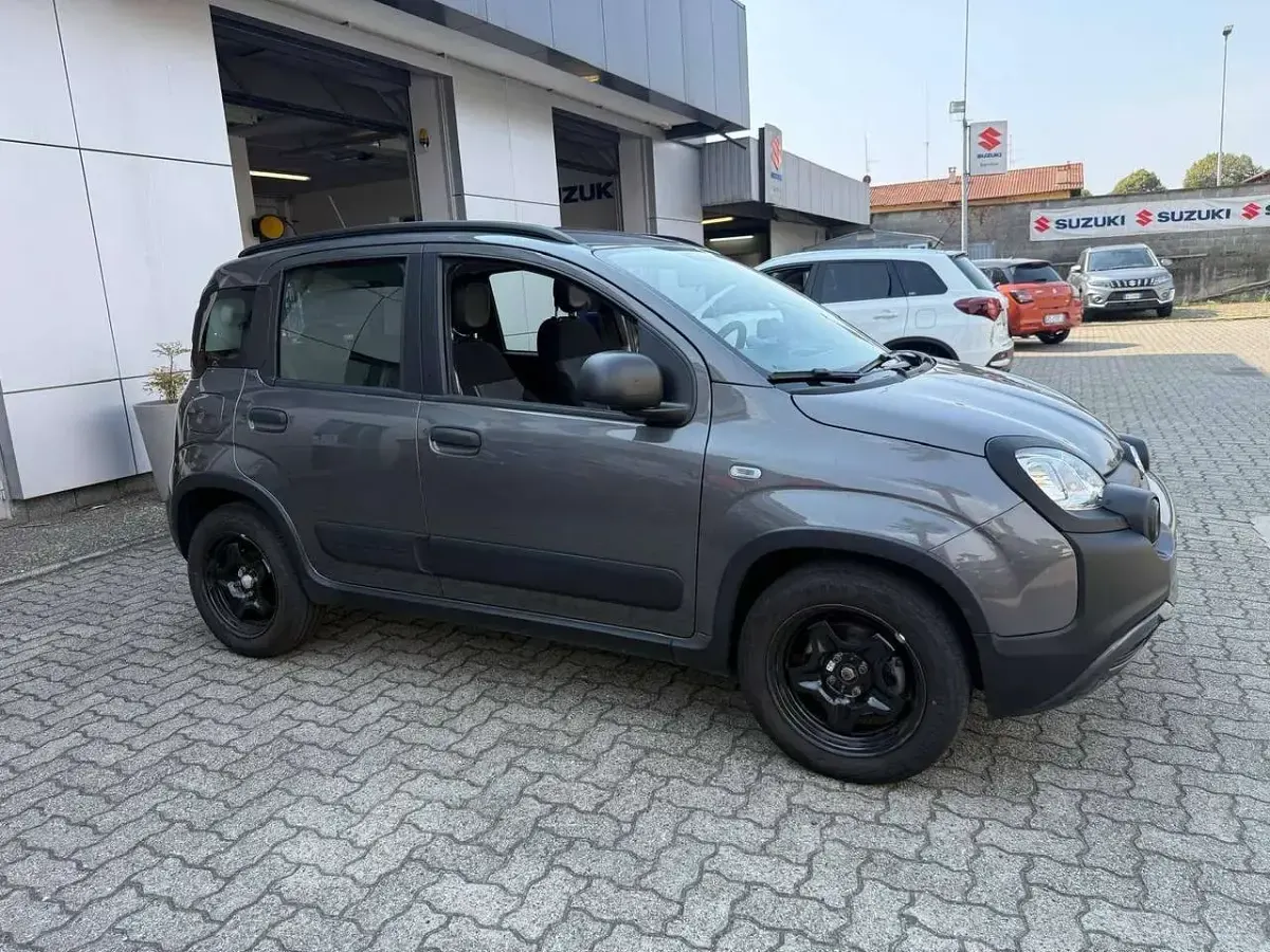 Usata Fiat Panda Cross Cross 69 CV (50 kW) 2020 Grigio Utilitaria