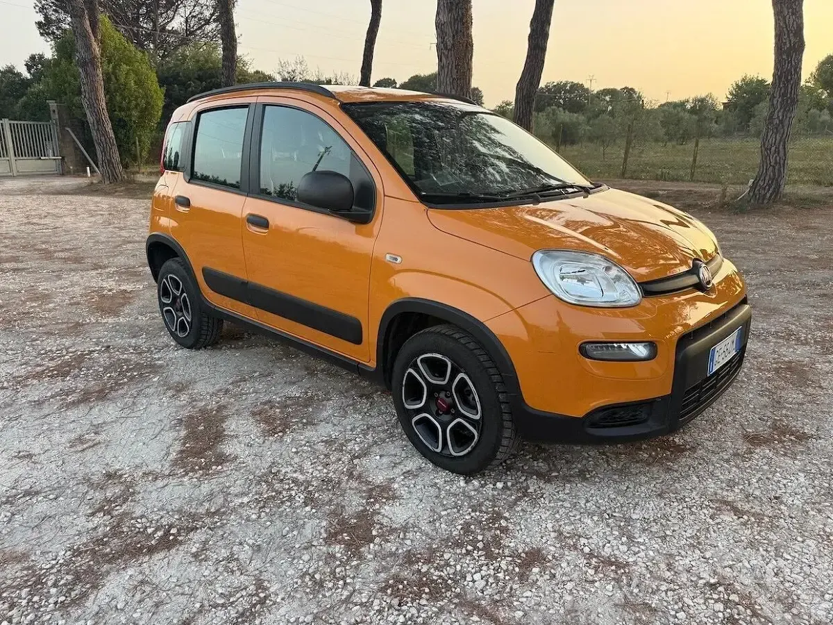 Usata Fiat Panda Cross Cross 80 CV (58 kW) 2021 Arancione Utilitaria