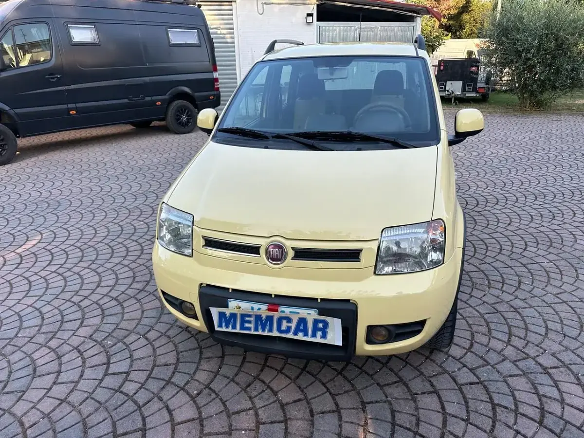 Usata Fiat Panda 4x4 69 CV (50 kW) 2009 Giallo Utilitaria