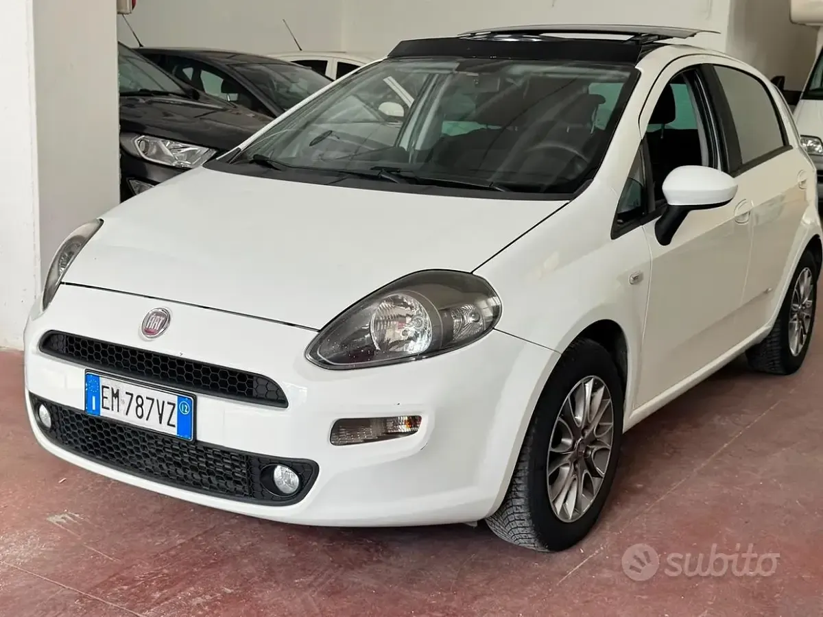 Usata Fiat Punto S 95 CV (69 kW) 2012 Bianco Utilitaria