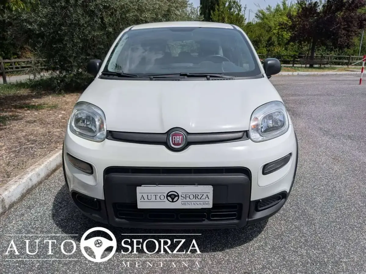 Usata Fiat Panda 69 CV (50 kW) 2023 Bianco Utilitaria