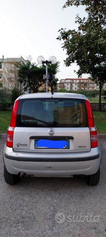 Usata Fiat Panda 60 CV (44 kW) 2008 Grigio Utilitaria