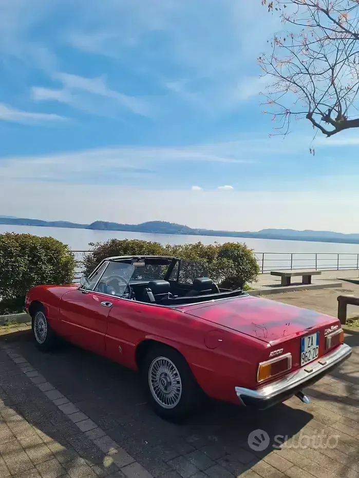 Usata Alfa Romeo Spider Veloce 128 CV (94 kW) 1980 Cabrio