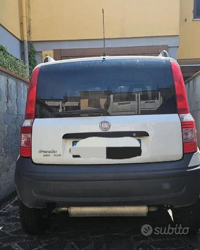 Usata Fiat Panda 4x4 69 CV (50 kW) 2010 Bianco Utilitaria
