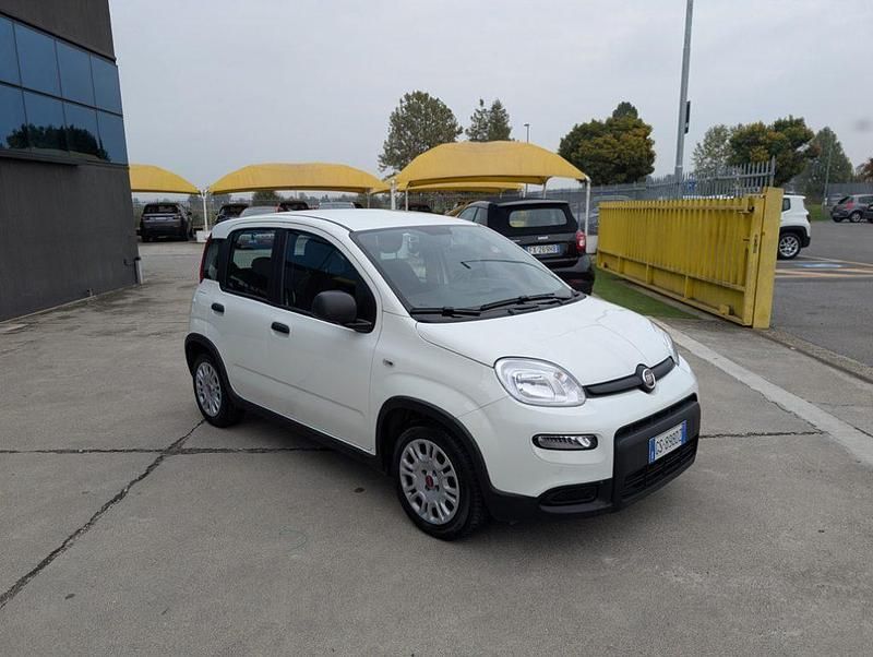 Usata Fiat Panda Comfort 69 CV (50 kW) 2023 Bianco / pastello Utilitaria