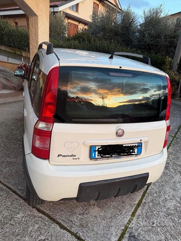 Usata Fiat Panda 4x4 2010 Bianco Utilitaria