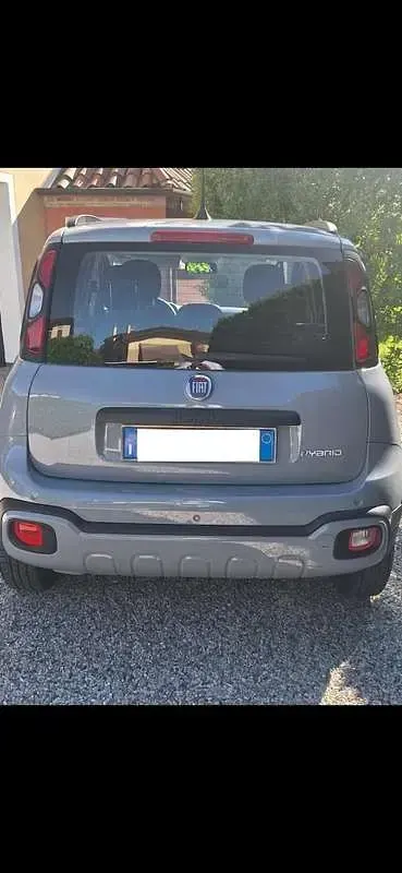 Usata Fiat Panda Cross Cross 69 CV (50 kW) 2022 Utilitaria
