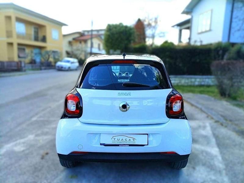 Usata Smart ForFour 71 CV (52 kW) 2019 Bianco Utilitaria