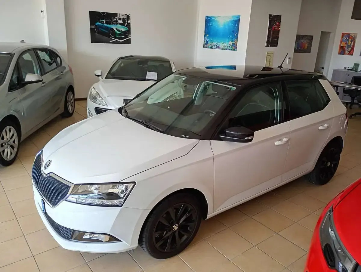 Usata Skoda Fabia 95 CV (69 kW) 2019 Perlato Utilitaria