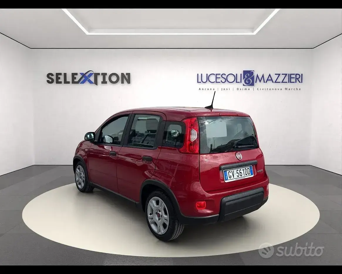 Usata Fiat Panda 70 CV (51 kW) 2024 Rosso Utilitaria