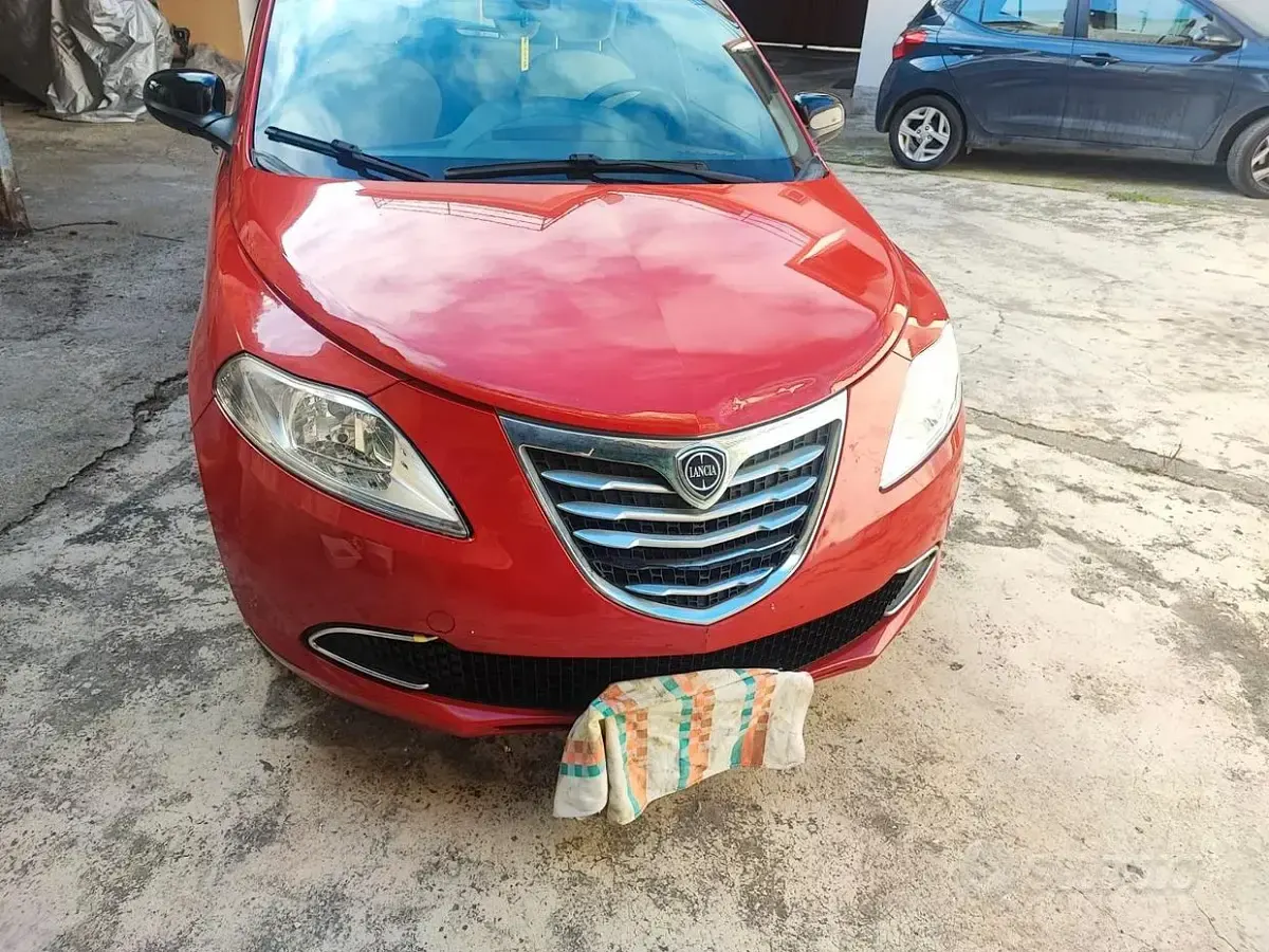 Usata Lancia Ypsilon 85 CV (62 kW) 2015 Rosso Utilitaria