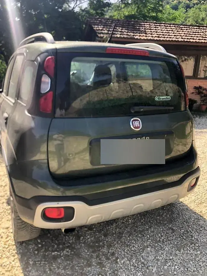 Usata Fiat Panda Cross Cross 90 CV (66 kW) 2015 Verde Utilitaria
