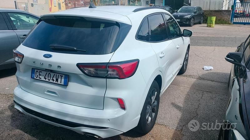 Usado Ford Kuga ST-Line 120 CV (88 kW) 2021 Blanco SUV