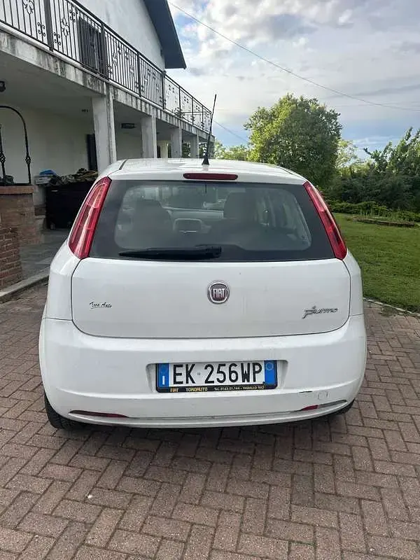 Usata Fiat Punto Easy 75 CV (55 kW) 2012 Utilitaria