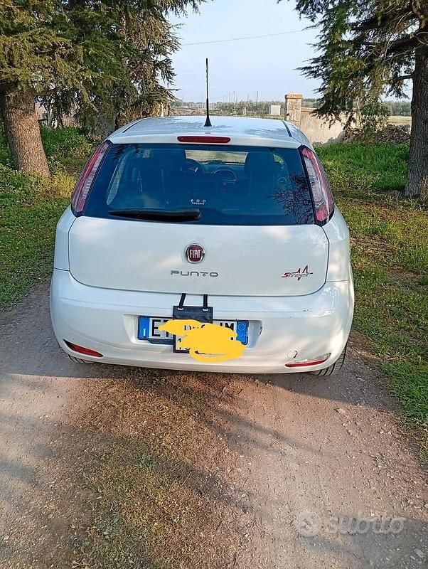 Usata Fiat Punto Evo 85 CV (62 kW) 2013 Bianco Utilitaria