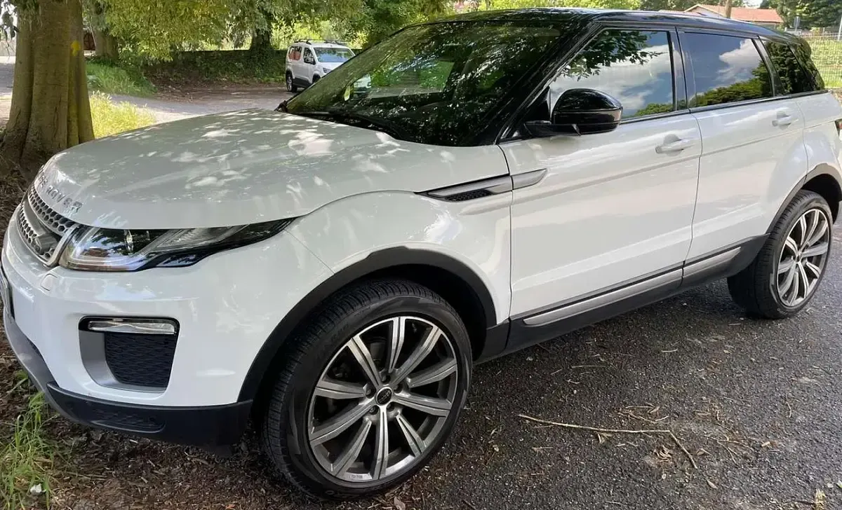 Usata Land Rover Range Rover evoque SE 150 CV (110 kW) 2017 Bianco SUV