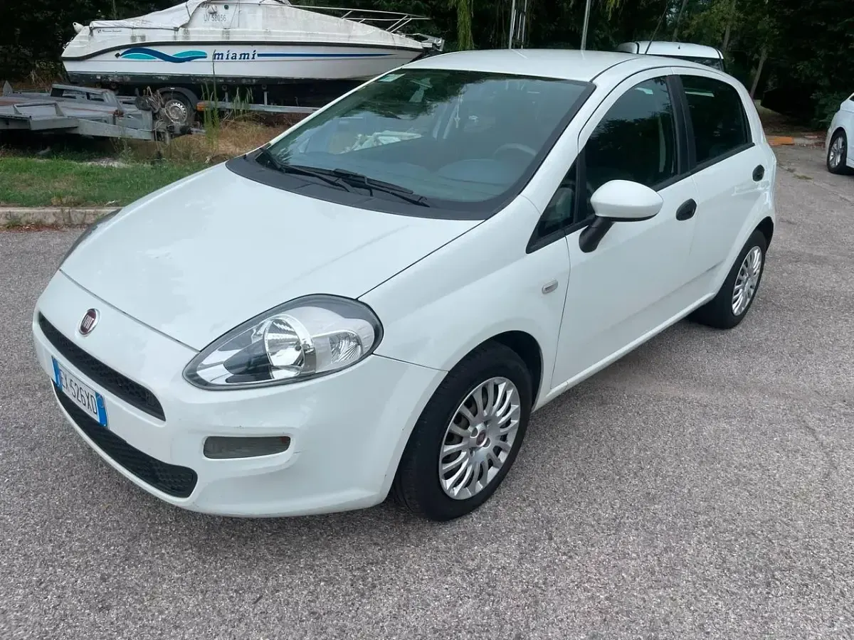 Usata Fiat Punto Lounge 75 CV (55 kW) 2014 Bianco Utilitaria