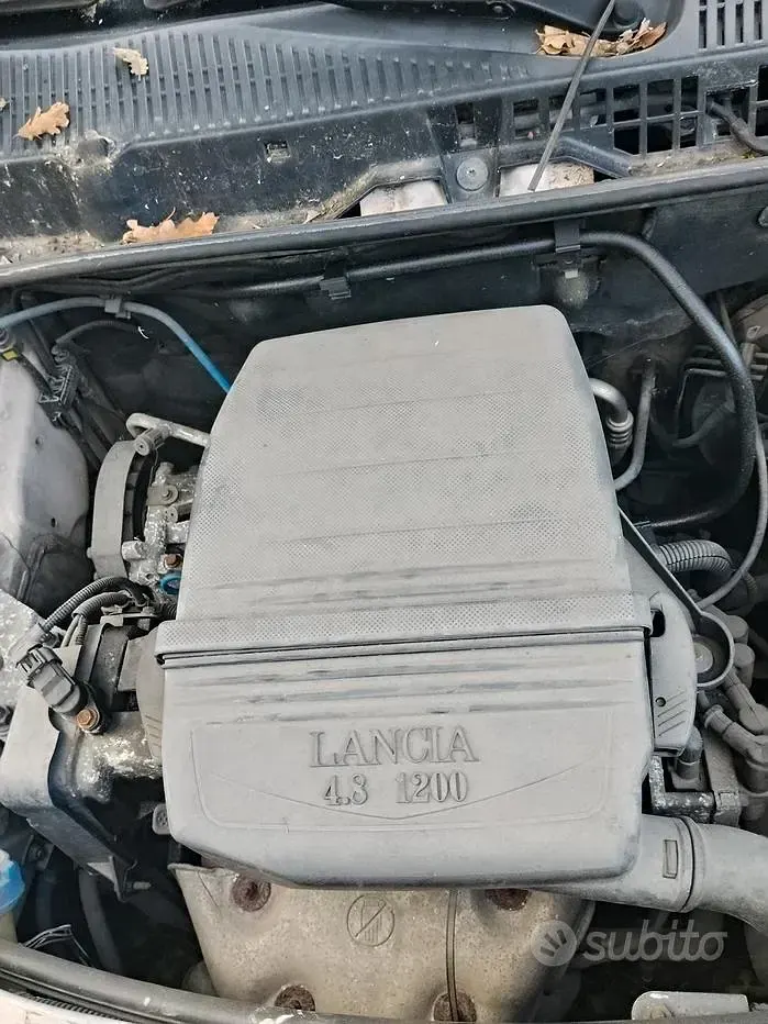 Usata Lancia Ypsilon 60 CV (44 kW) 2005 Utilitaria