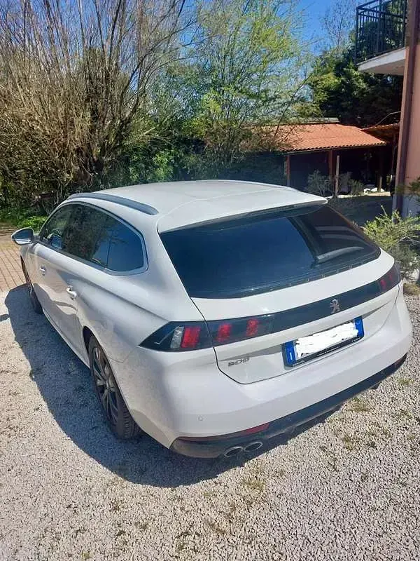 Usata Peugeot 508 SW Business-Line 163 CV (119 kW) 2020 Bianco Station wagon