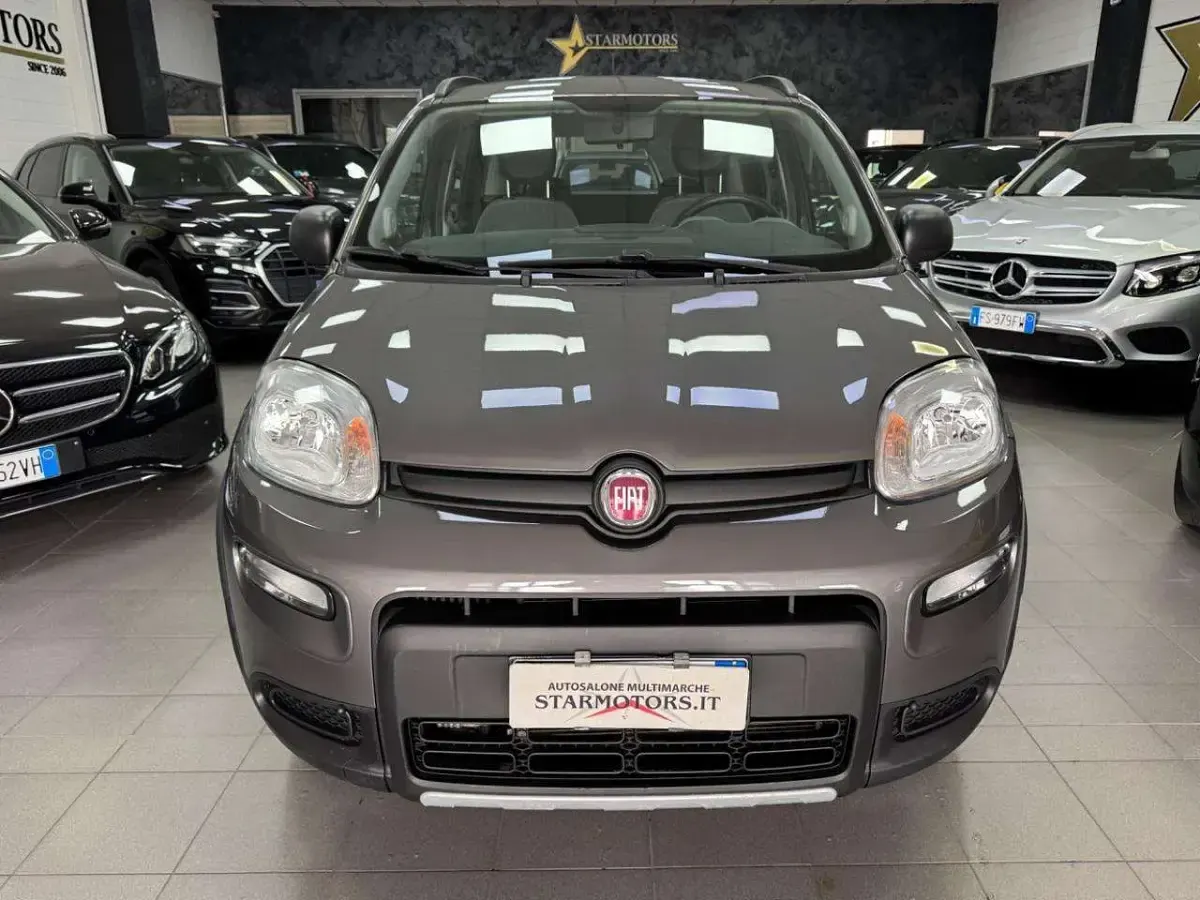Usata Fiat Panda 4x4 Wild 84 CV (61 kW) 2022 Grigio pastello Utilitaria