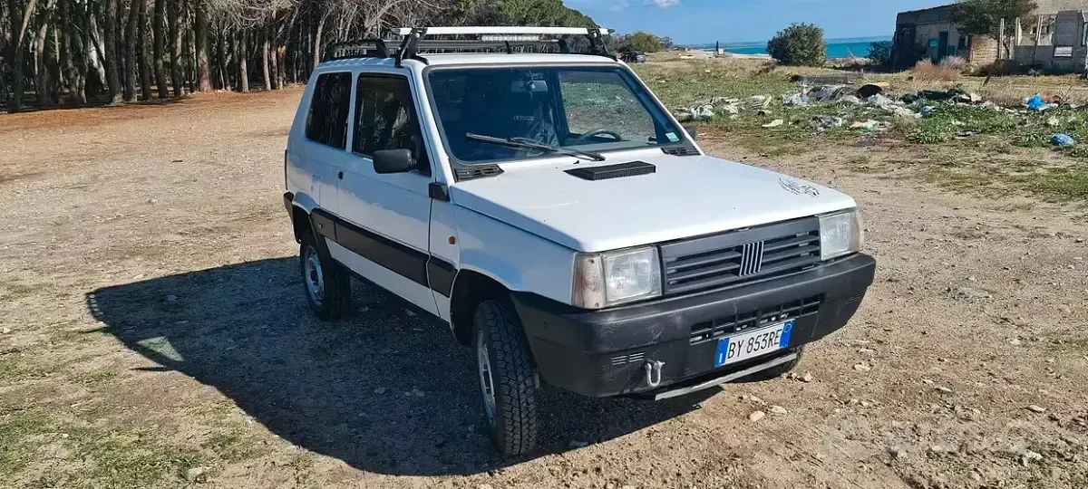 Usata Fiat Panda 4x4 54 CV (39 kW) 2002 Bianco Utilitaria