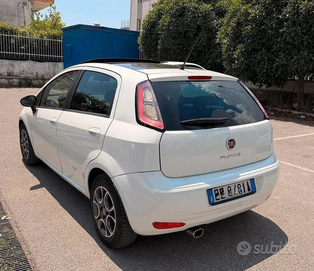 Usata Fiat Punto Lounge 85 CV (62 kW) 2015 Bianco Utilitaria