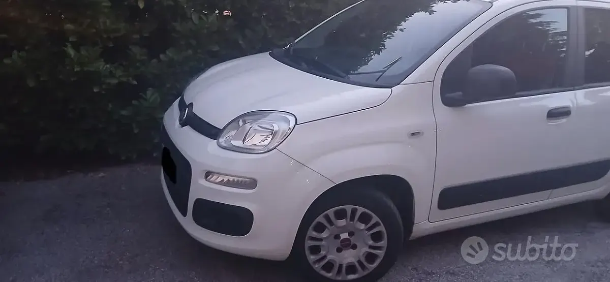 Usata Fiat Panda 69 CV (50 kW) 2020 Bianco Utilitaria