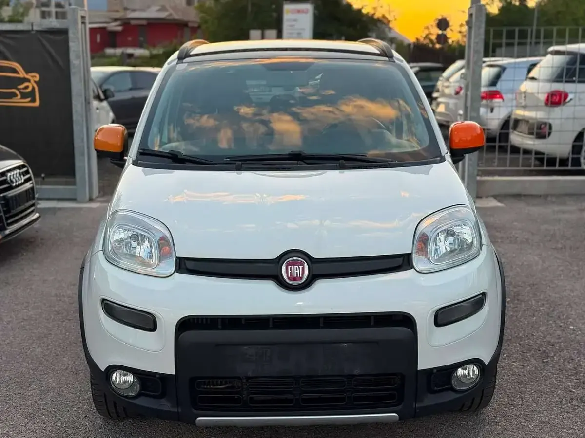 Usata Fiat Panda 4x4 Anniversary 86 CV (63 kW) 2014 Bianco Utilitaria