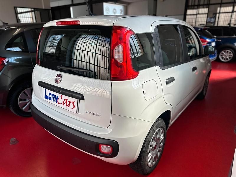 Usata Fiat Panda Launch Edition 69 CV (50 kW) 2020 Bianco Berlina