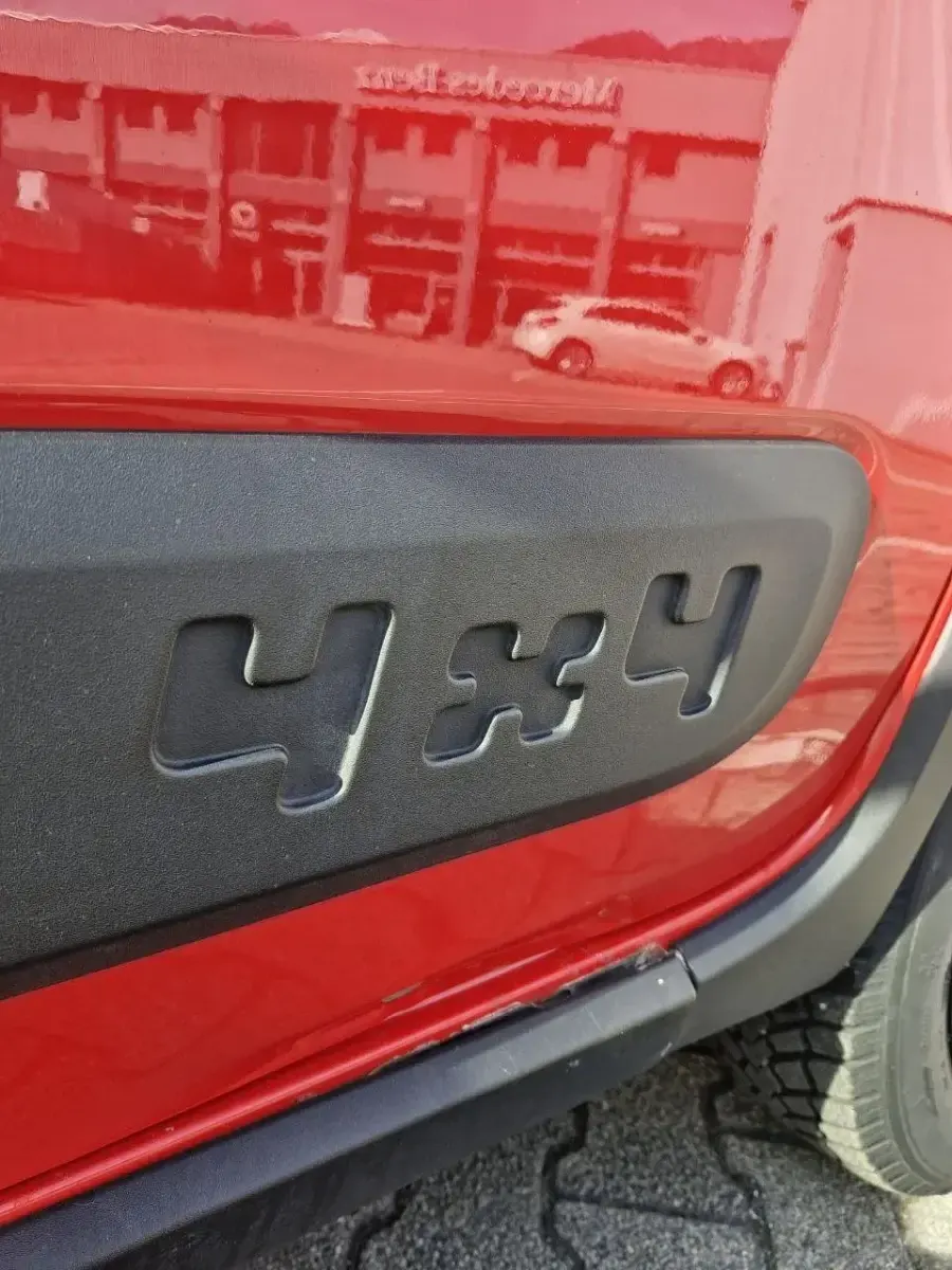 Usata Fiat Panda 4x4 2019 Utilitaria
