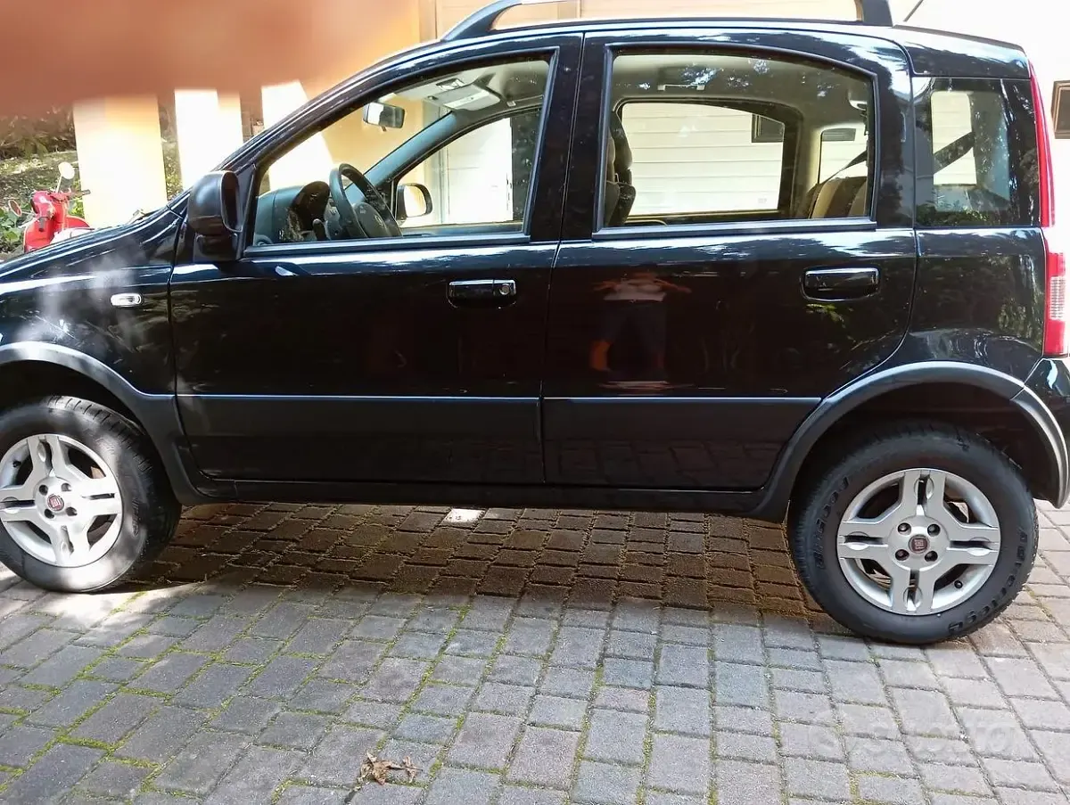 Usata Fiat Panda 4x4 60 CV (44 kW) 2011 Nero Utilitaria