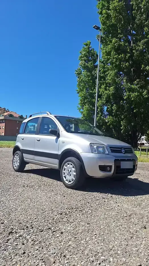 Usata Fiat Panda 4x4 60 CV (44 kW) 2006 Grigio Utilitaria