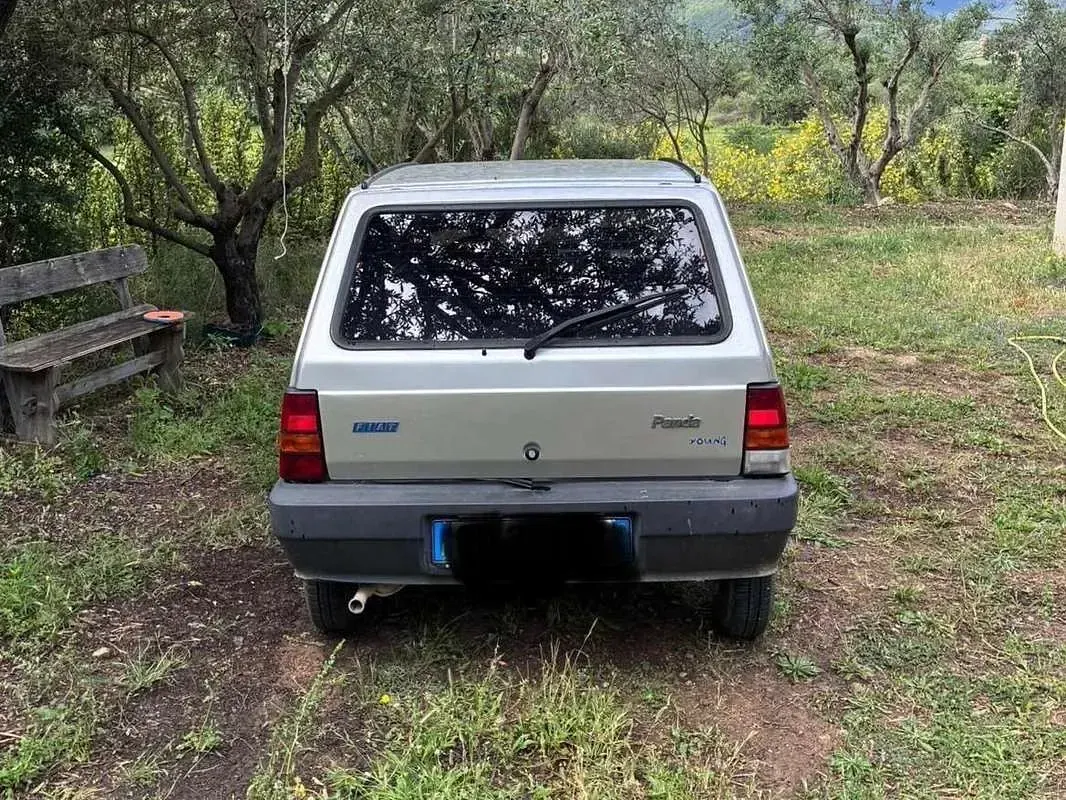 Usata Fiat Panda Young 54 CV (39 kW) 2002 Argento Berlina