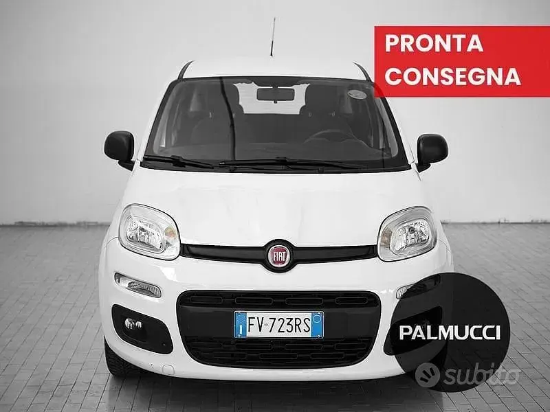 Usata Fiat Panda Easy 69 CV (50 kW) 2019 Bianco Utilitaria