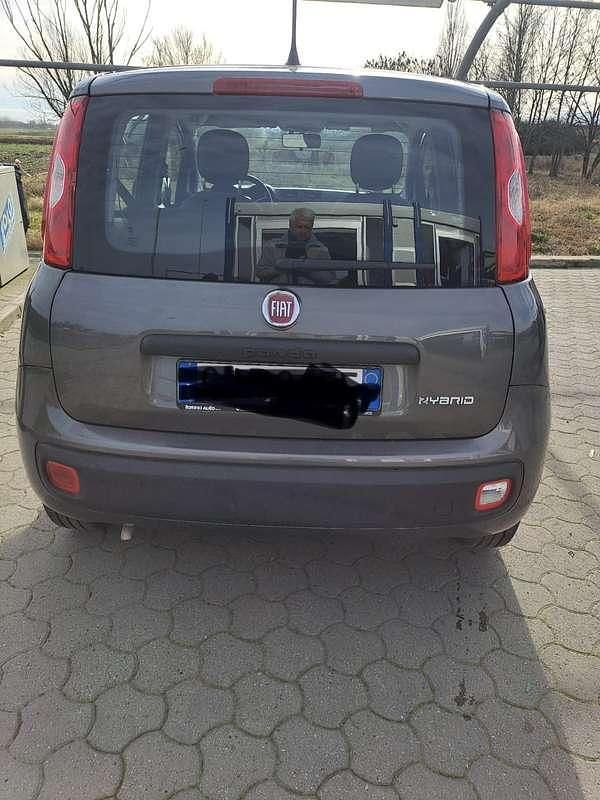 Usata Fiat Panda City Life 69 CV (50 kW) 2022 Utilitaria
